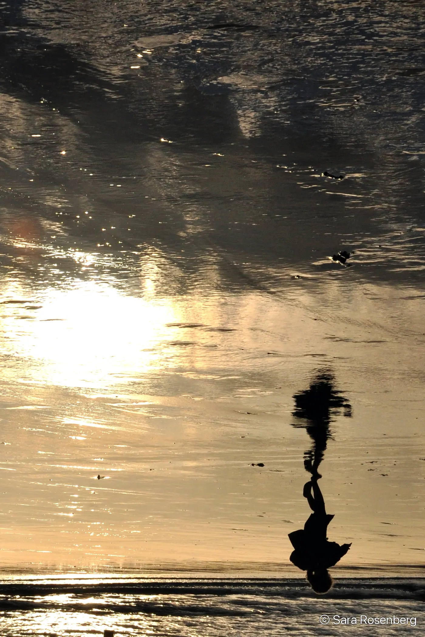 Reflets
