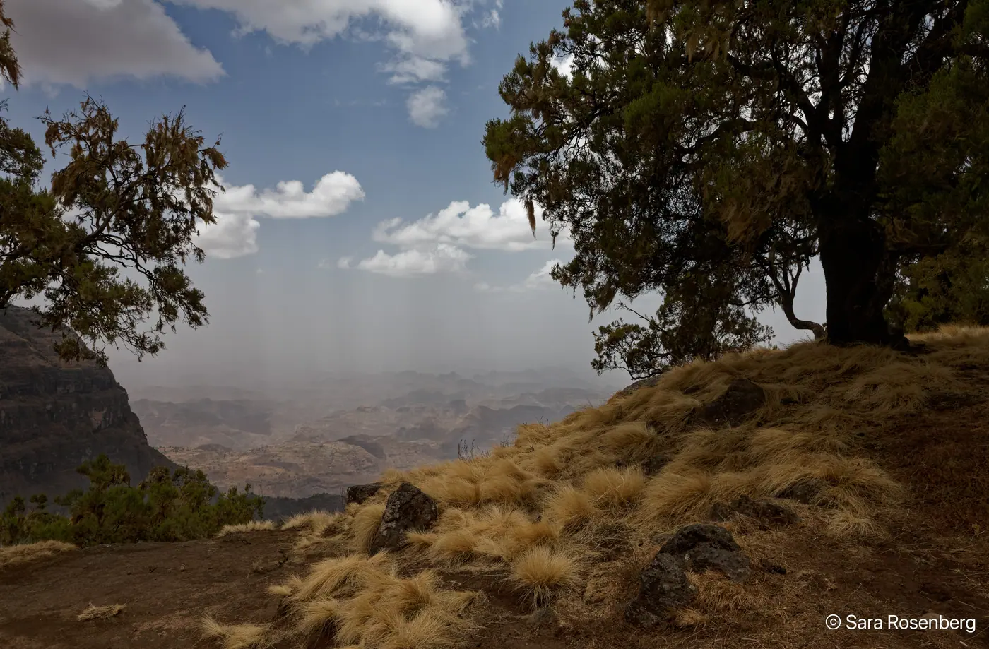 Parc des Simien, Éthiopie