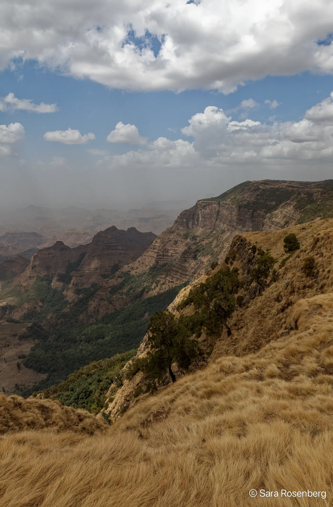 Parc des Simien, Éthiopie
