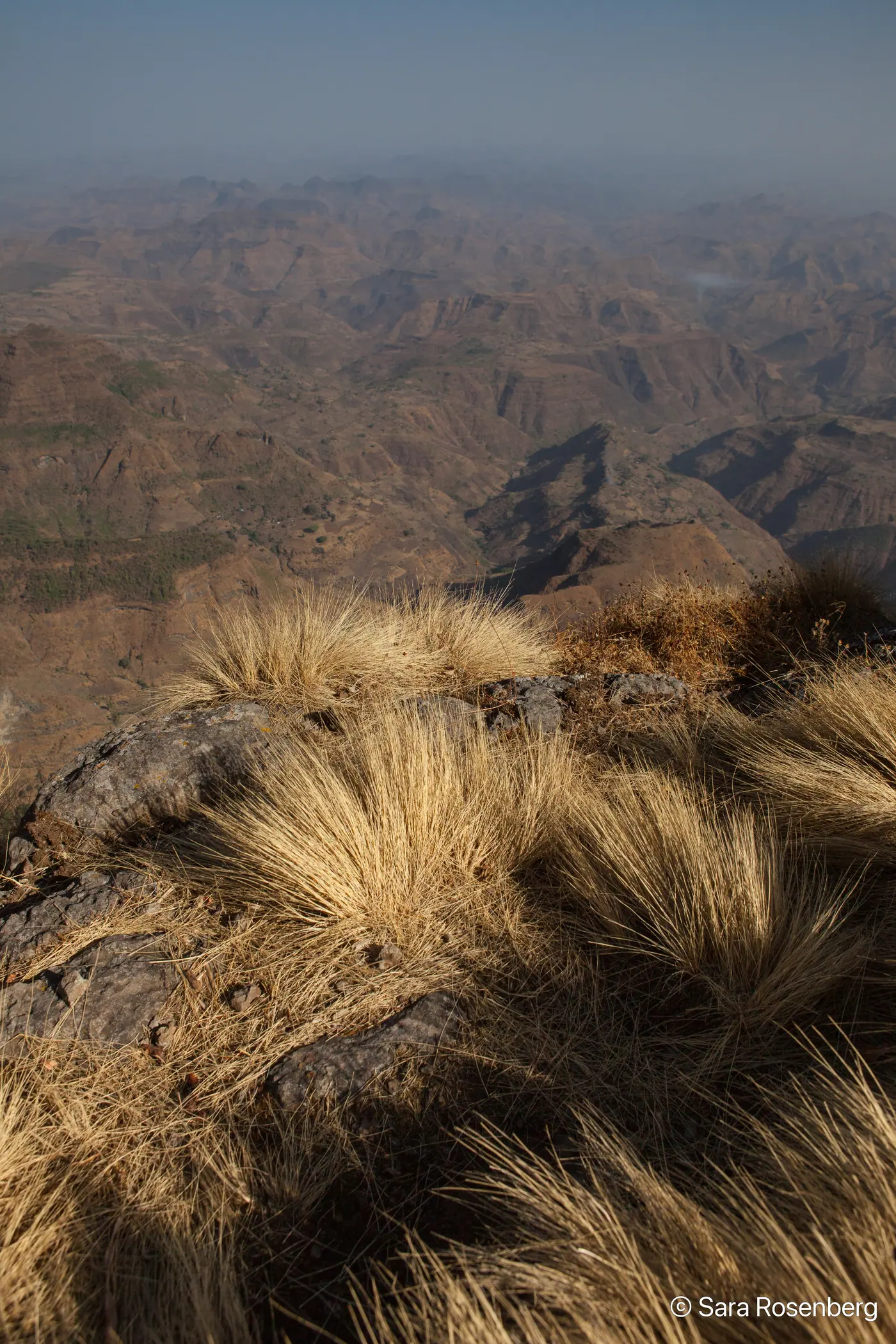 Parc des Simien, Éthiopie