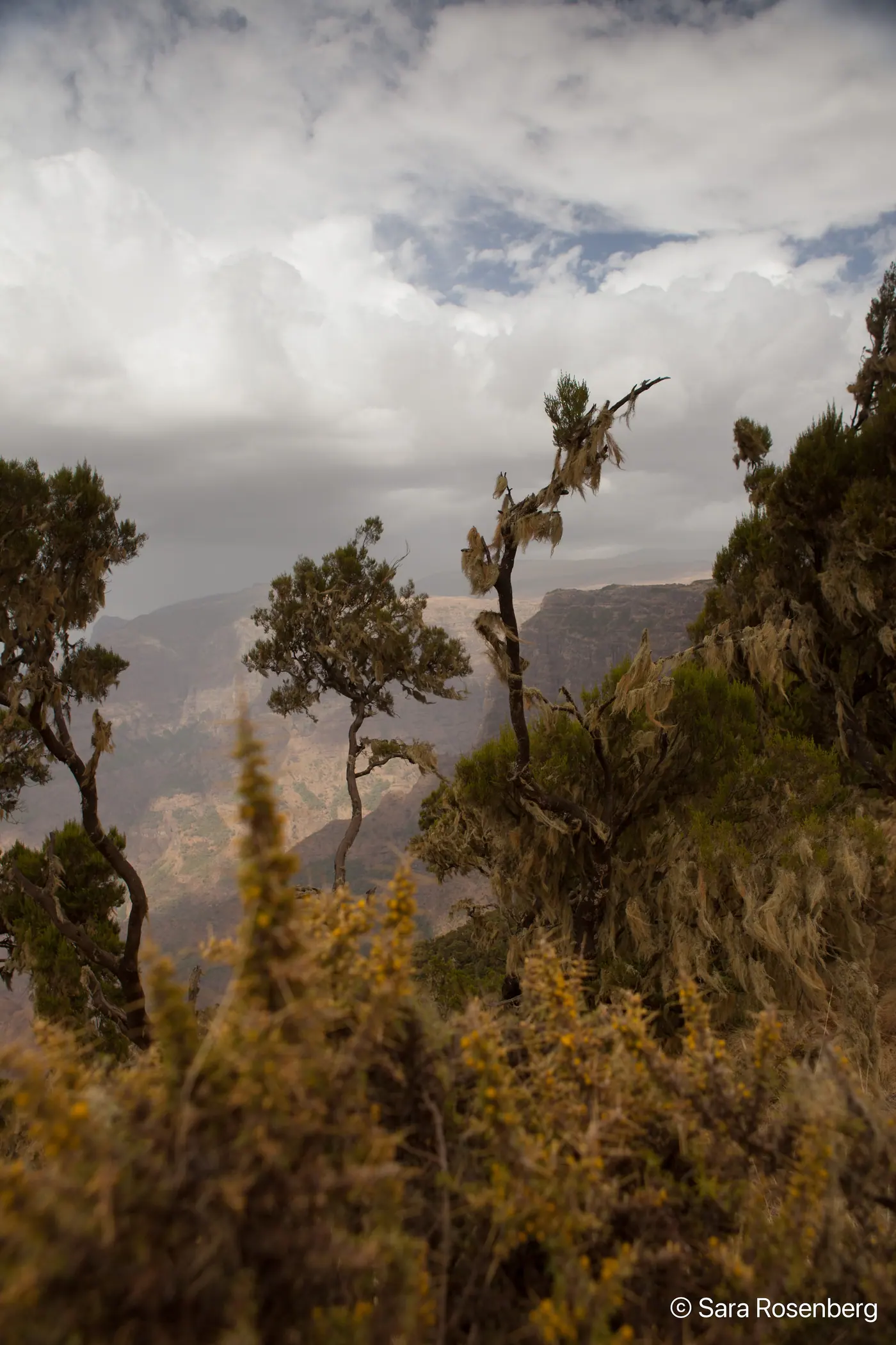 Parc des Simien, Éthiopie
